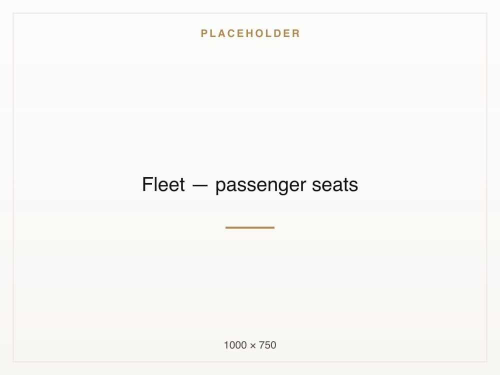 Passenger seats inside the Mercedes Sprinter van, in rows of three.