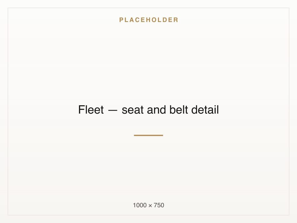 Close view of a headrest and seatbelt inside the Sprinter van.